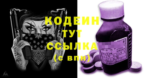 дмт Лабытнанги