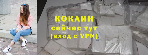 дмт Лабытнанги