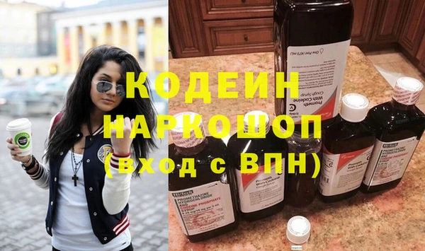 хмурый Лагань