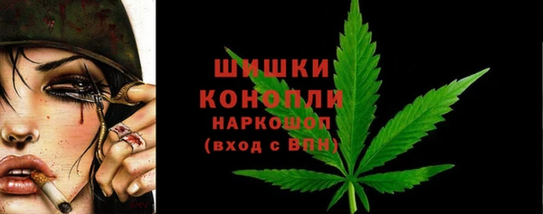 дмт Лабытнанги