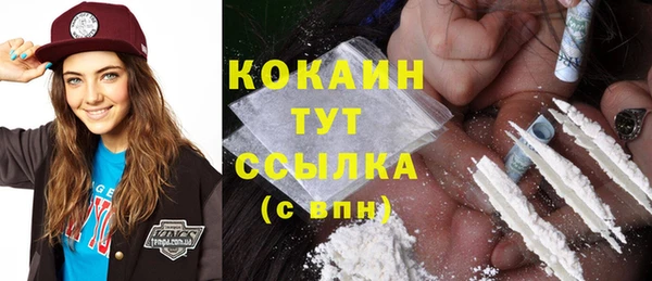 PSILOCYBIN Ладушкин