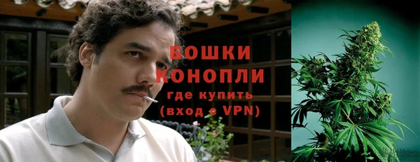 PSILOCYBIN Ладушкин