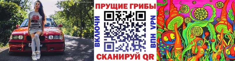 Псилоцибиновые грибы Cubensis  Купить  Бокситогорск 